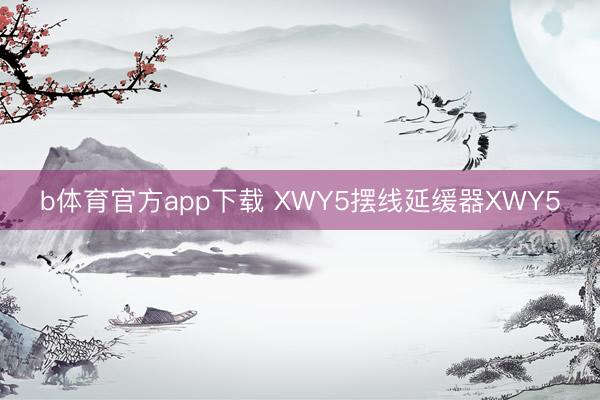 b体育官方app下载 XWY5摆线延缓器XWY5