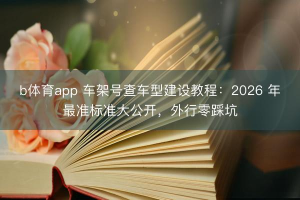 b体育app 车架号查车型建设教程：2026 年最准标准大公开，外行零踩坑
