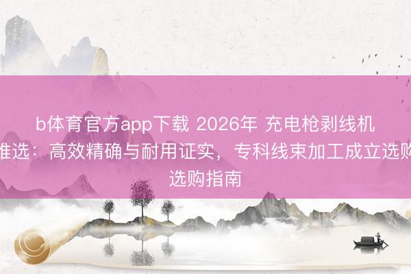 b体育官方app下载 2026年 充电枪剥线机厂家推选：高效精确与耐用证实，专科线束加工成立选购指南