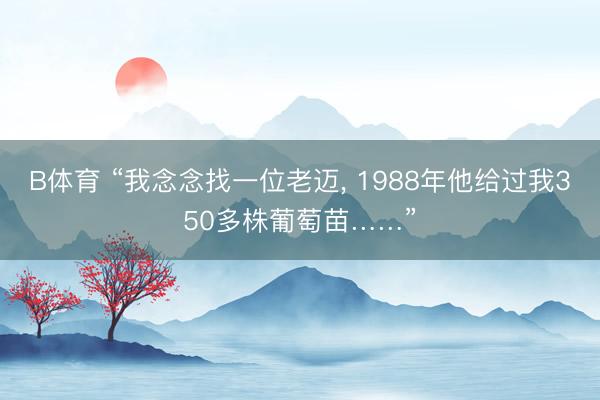 B体育 “我念念找一位老迈, 1988年他给过我350多株葡萄苗……”