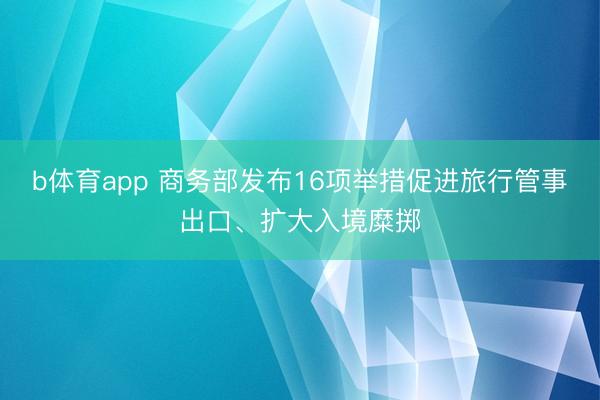 b体育app 商务部发布16项举措促进旅行管事出口、扩大入境糜掷