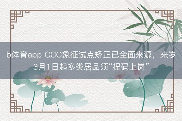 b体育app CCC象征试点矫正已全面来源，来岁3月1日起多类居品须“捏码上岗”