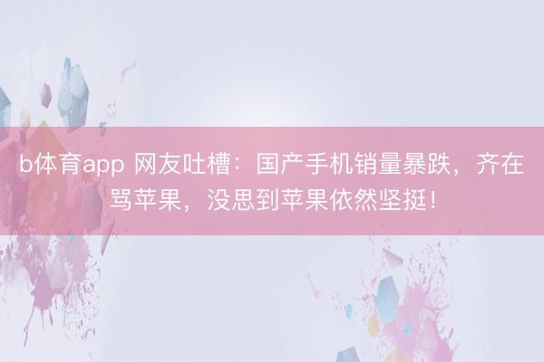 b体育app 网友吐槽：国产手机销量暴跌，齐在骂苹果，没思到苹果依然坚挺！