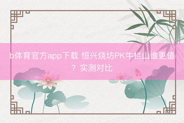 b体育官方app下载 恒兴烧坊PK牛栏山谁更值？实测对比