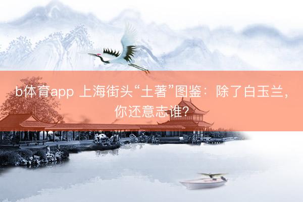 b体育app 上海街头“土著”图鉴：除了白玉兰，你还意志谁？
