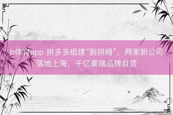 b体育app 拼多多组建“新拼姆”，两家新公司落地上海，千亿豪赌品牌自营