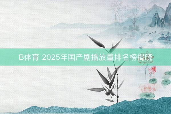 B体育 2025年国产剧播放量排名榜揭晓