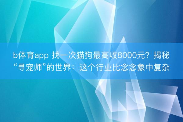 b体育app 找一次猫狗最高收8000元？揭秘“寻宠师”的世界：这个行业比念念象中复杂