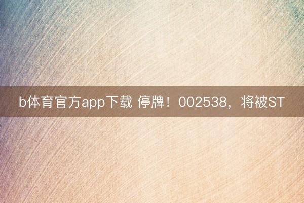 b体育官方app下载 停牌！002538，将被ST
