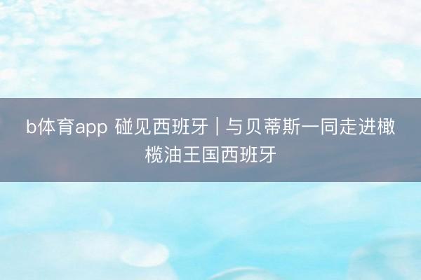 b体育app 碰见西班牙 | 与贝蒂斯一同走进橄榄油王国西班牙