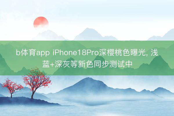 b体育app iPhone18Pro深樱桃色曝光， 浅蓝+深灰等新色同步测试中