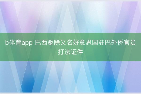 b体育app 巴西驱除又名好意思国驻巴外侨官员打法证件
