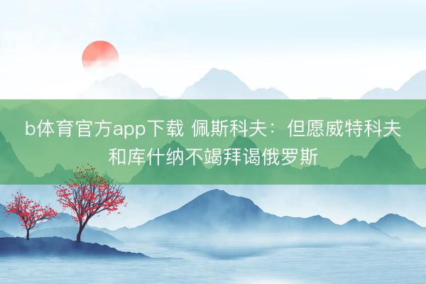 b体育官方app下载 佩斯科夫：但愿威特科夫和库什纳不竭拜谒俄罗斯