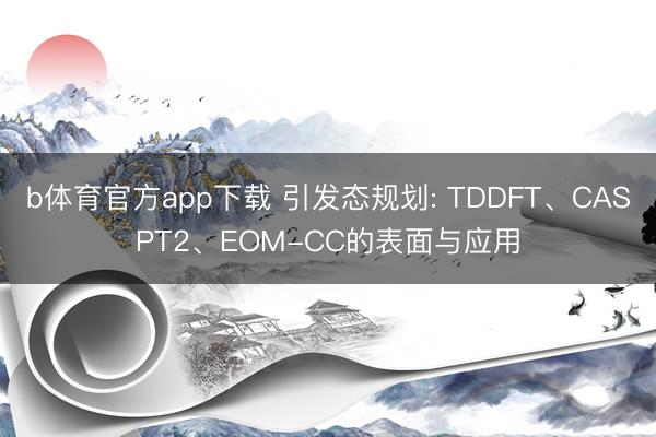 b体育官方app下载 引发态规划: TDDFT、CASPT2、EOM-CC的表面与应用