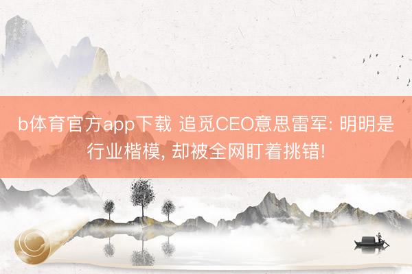b体育官方app下载 追觅CEO意思雷军: 明明是行业楷模， 却被全网盯着挑错!