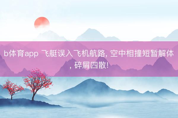 b体育app 飞艇误入飞机航路， 空中相撞短暂解体， 碎屑四散!