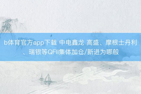 b体育官方app下载 中电鑫龙 高盛、摩根士丹利、瑞银等QFII集体加仓/新进为哪般